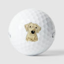 Search for lab Dog