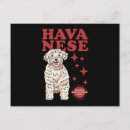 Search for havanese funny postcards Dog