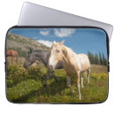 Search for hart electronics Horse