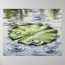 Search for lilypad posters Pond