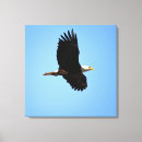 Search for flying eagle canvas prints Flight