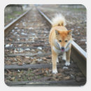 Search for tracking dog stickers Horizontal