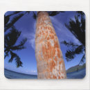 Search for french polynesia mouse mats Beach