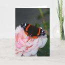 Search for insect christmas cards Xmas