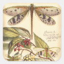 Search for dragonfly stickers Botanical