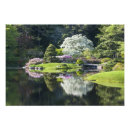 Search for azalea posters Reflection