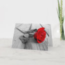 Search for ocassions cards Blank