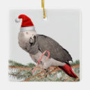 Search for african grey parrot christmas tree decorations Pet