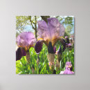 Search for iris flowers canvas prints Colourful