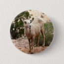 Search for sheep badges Wildlife