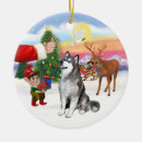 Search for alaskan malamute christmas tree decorations Pets