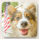 Search for corgi coasters Dog