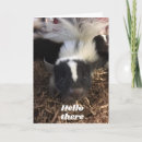 Search for stinker cards Funny