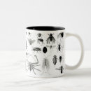 Search for entomology mugs Flies
