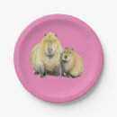 Search for capybara plates Wildlife