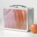 Search for flamingo lunch boxes Abstract
