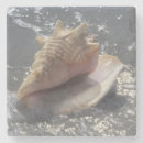 Search for sanibel coasters Ocean