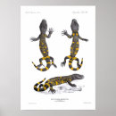 Search for beaded posters Vintage