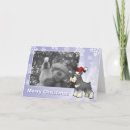 Search for giant schnauzer postcards Animal