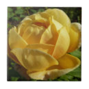 Search for english rose tiles Floral