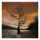 Search for loch lomond posters Landscape