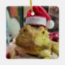 Search for santa dragon christmas tree decorations Lizard