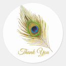 Search for beautiful peacock stickers Modern