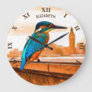 Search for kingfisher gifts Colourful bird