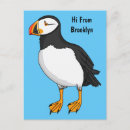 Search for atlantic puffin postcards Seabird