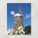 Search for tasmania postcards Tourism