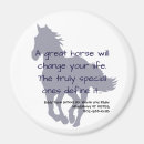 Search for riders magnets School