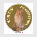Search for golden cat stickers Pet