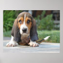 Search for basset hound art Pet