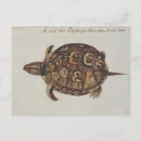 Search for private collection postcards John