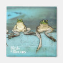 Search for frog magnets Toad