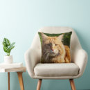 Search for house cat cushions Cats
