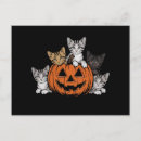 Search for vintage halloween cat postcards Witch