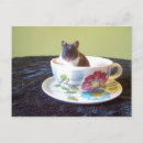 Search for noah postcards Animal