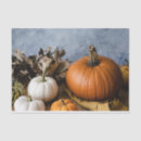 Search for thanksgiving tissue paper Halloween