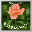 Search for rose posters Romance