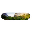 Search for tranquil skateboards Tree