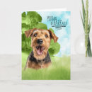 Search for airedale terrier dog cards Dogs