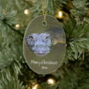 Search for alligator christmas tree decorations Wildlife