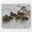 Search for duck mouse mats animal