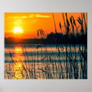 Search for lanscape posters Nature