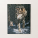 Search for wild wolf puzzles Animal