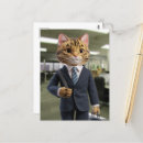 Search for business postcards Feline