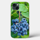 Search for bush iphone cases Nature