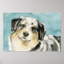 Search for australian art Animal