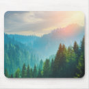 Search for alto electronics Forest